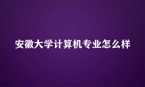 安徽大学计算机专业怎么样