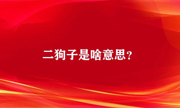 二狗子是啥意思？