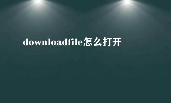 downloadfile怎么打开