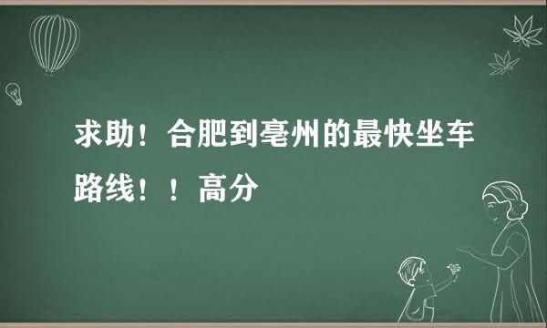 求助！合肥到亳州的最快坐车路线！！高分