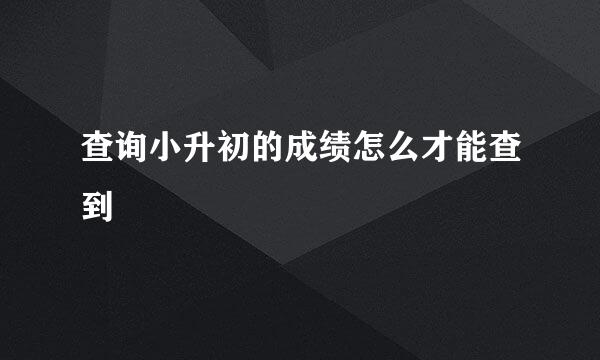 查询小升初的成绩怎么才能查到