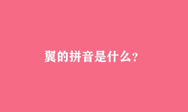 翼的拼音是什么？