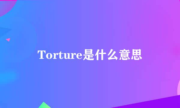 Torture是什么意思