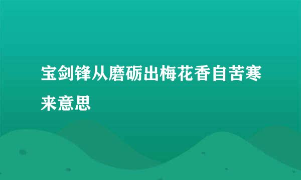 宝剑锋从磨砺出梅花香自苦寒来意思