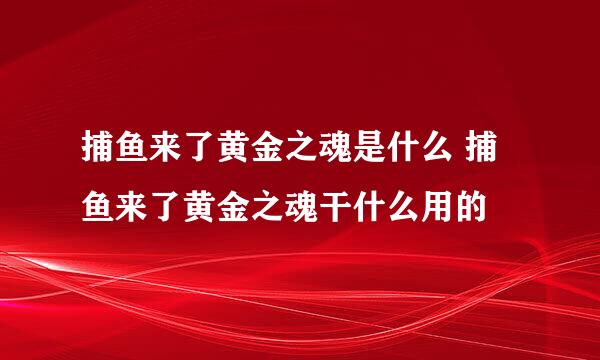 捕鱼来了黄金之魂是什么 捕鱼来了黄金之魂干什么用的