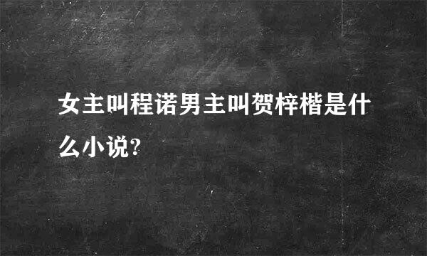 女主叫程诺男主叫贺梓楷是什么小说?