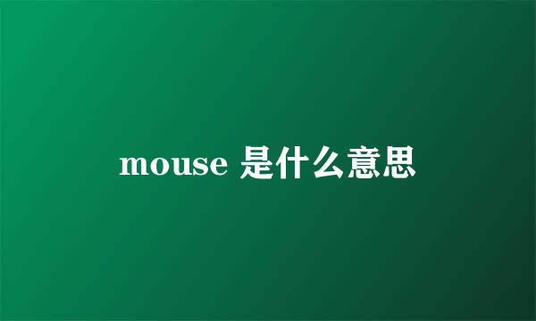 mouse 是什么意思