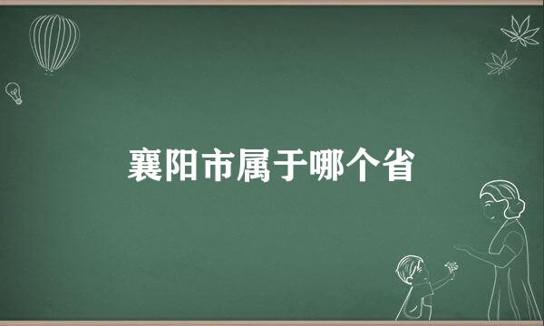 襄阳市属于哪个省