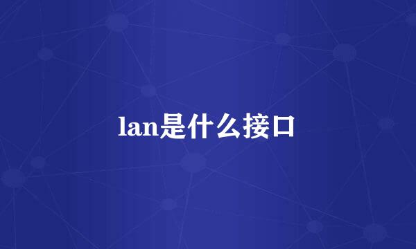 lan是什么接口