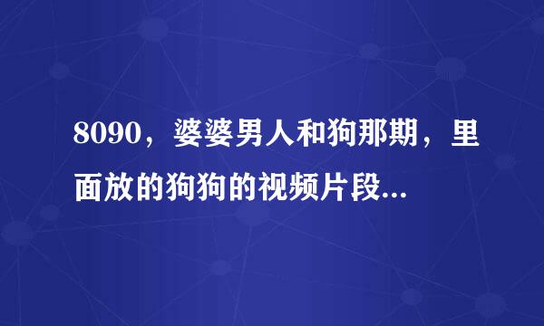 8090，婆婆男人和狗那期，里面放的狗狗的视频片段，一个外国女人和狗的。是什么 电影的？