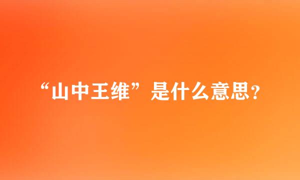 “山中王维”是什么意思？