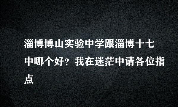 淄博博山实验中学跟淄博十七中哪个好？我在迷茫中请各位指点