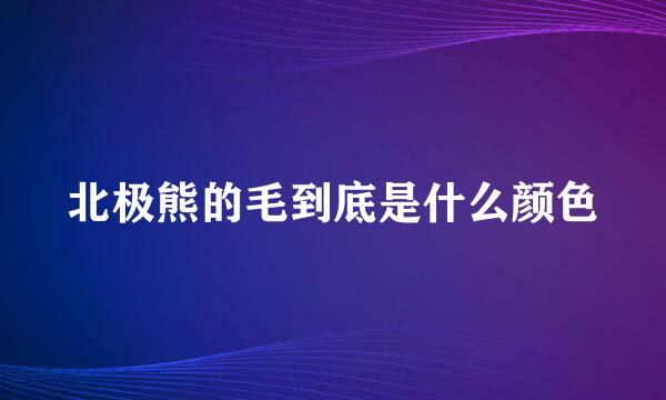 北极熊的毛到底是什么颜色