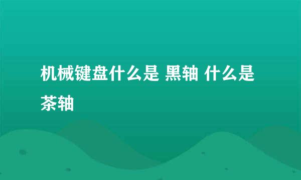 机械键盘什么是 黑轴 什么是茶轴