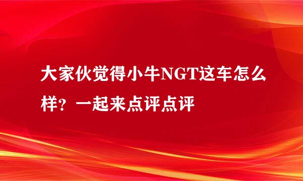 大家伙觉得小牛NGT这车怎么样？一起来点评点评