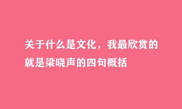 关于什么是文化，我最欣赏的就是梁晓声的四句概括