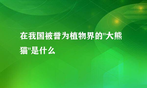 在我国被誉为植物界的