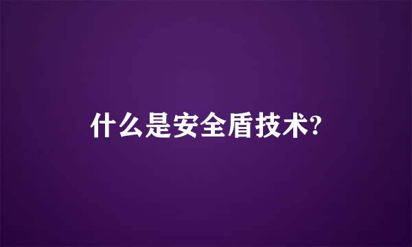 什么是安全盾技术?