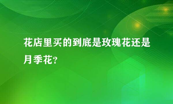 花店里买的到底是玫瑰花还是月季花？