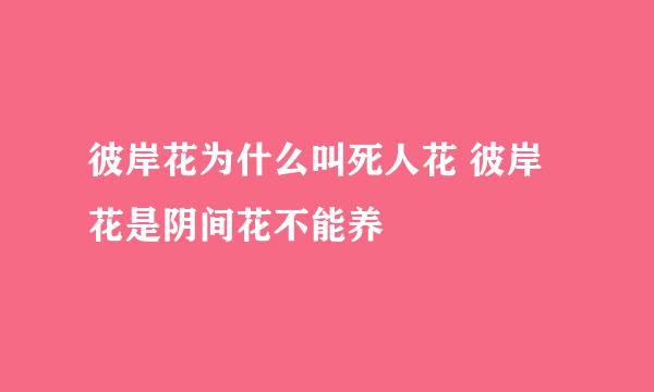 彼岸花为什么叫死人花 彼岸花是阴间花不能养