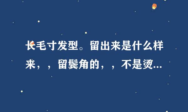 长毛寸发型。留出来是什么样来，，留鬓角的，，不是烫的。求图片