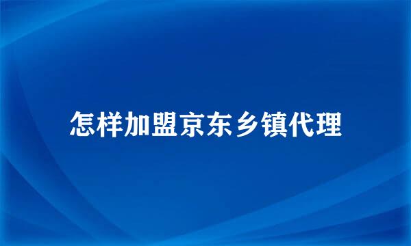 怎样加盟京东乡镇代理