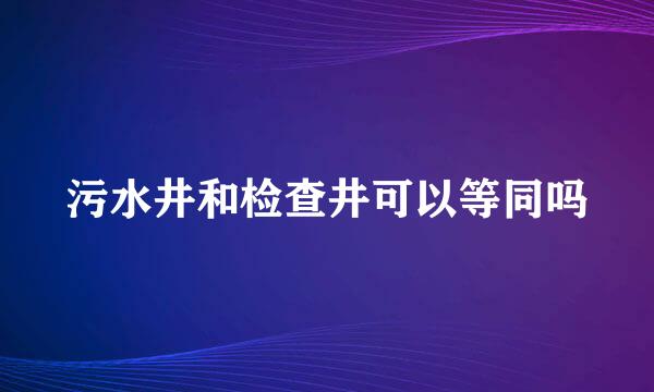 污水井和检查井可以等同吗