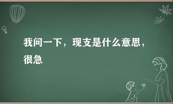 我问一下，现支是什么意思，很急