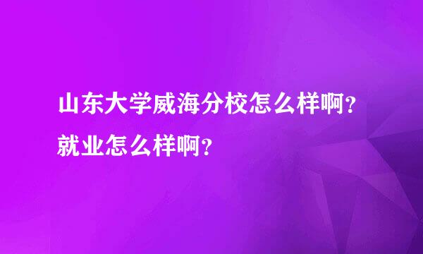 山东大学威海分校怎么样啊？就业怎么样啊？