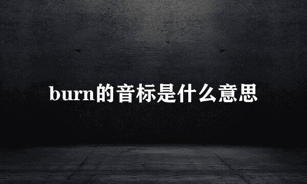 burn的音标是什么意思