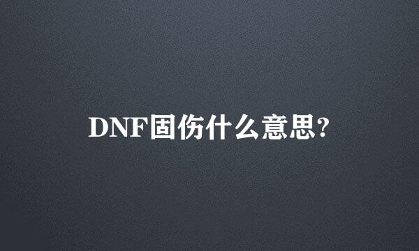 DNF固伤什么意思?