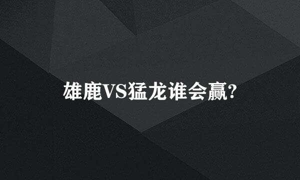 雄鹿VS猛龙谁会赢?