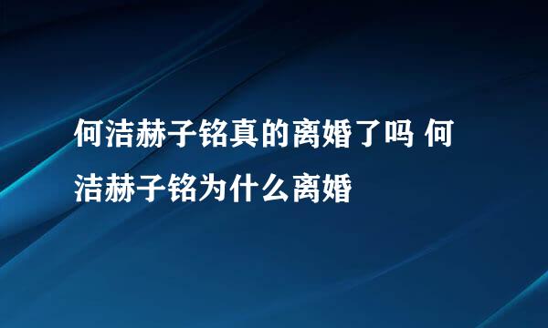 何洁赫子铭真的离婚了吗 何洁赫子铭为什么离婚