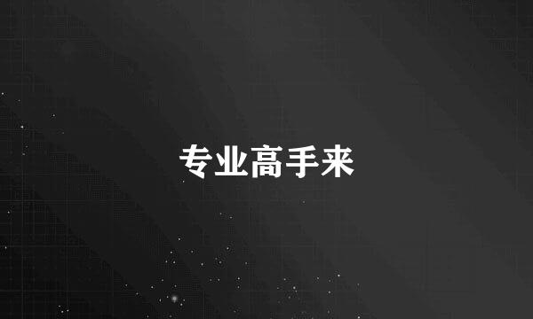 专业高手来