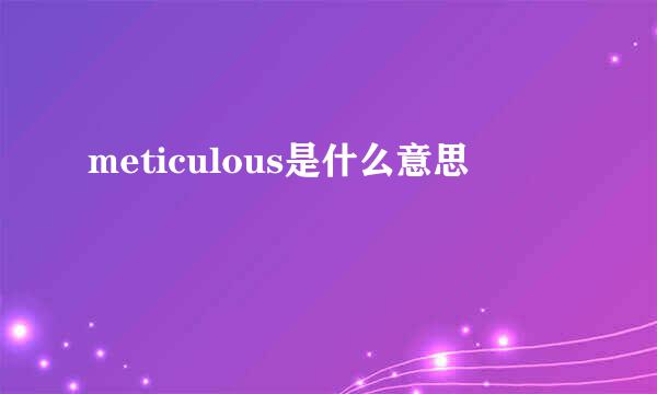 meticulous是什么意思