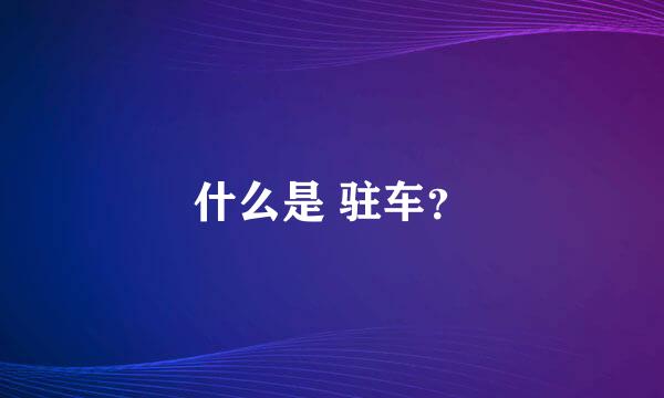 什么是 驻车？