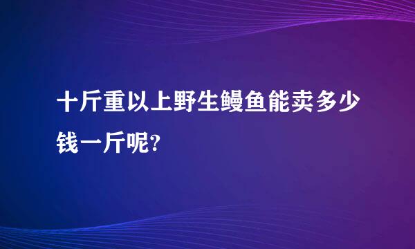 十斤重以上野生鳗鱼能卖多少钱一斤呢?