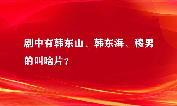 剧中有韩东山、韩东海、穆男的叫啥片？