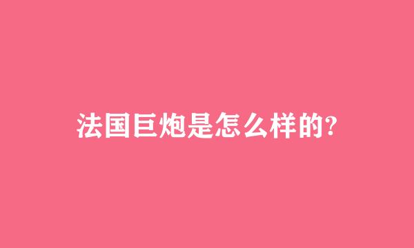 法国巨炮是怎么样的?