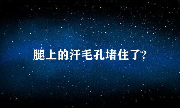 腿上的汗毛孔堵住了?