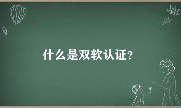 什么是双软认证？