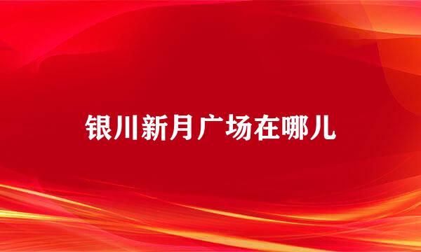 银川新月广场在哪儿