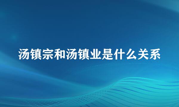 汤镇宗和汤镇业是什么关系