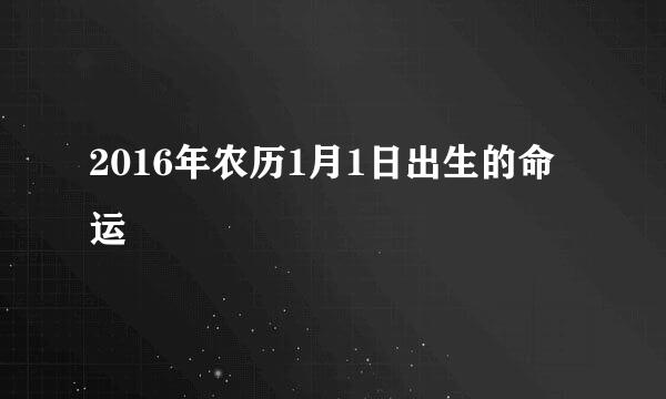 2016年农历1月1日出生的命运