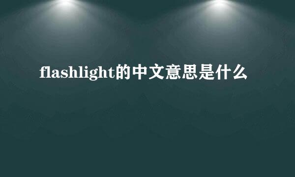 flashlight的中文意思是什么