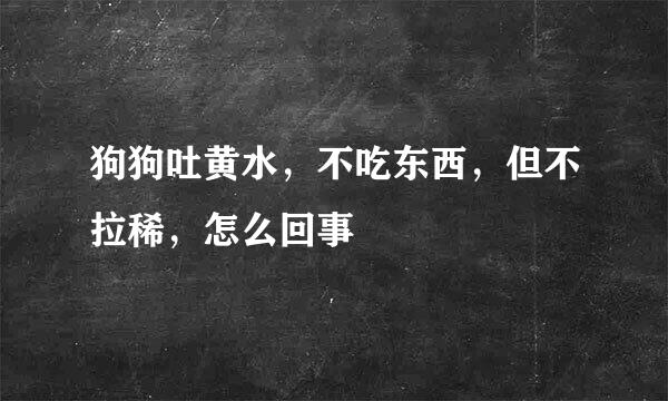 狗狗吐黄水，不吃东西，但不拉稀，怎么回事