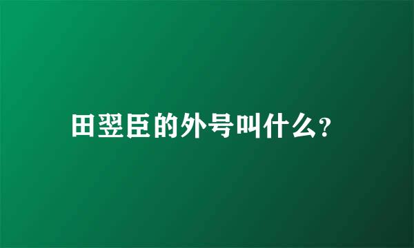 田翌臣的外号叫什么？