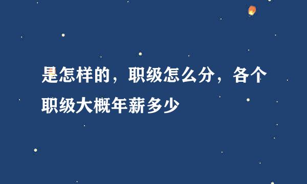 是怎样的，职级怎么分，各个职级大概年薪多少