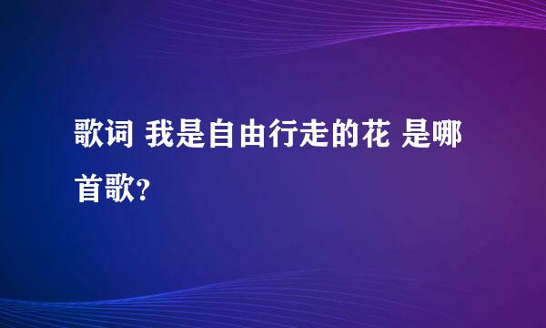 歌词 我是自由行走的花 是哪首歌？