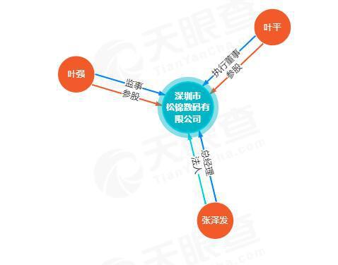 京东上的松景显卡是哪个公司出的？